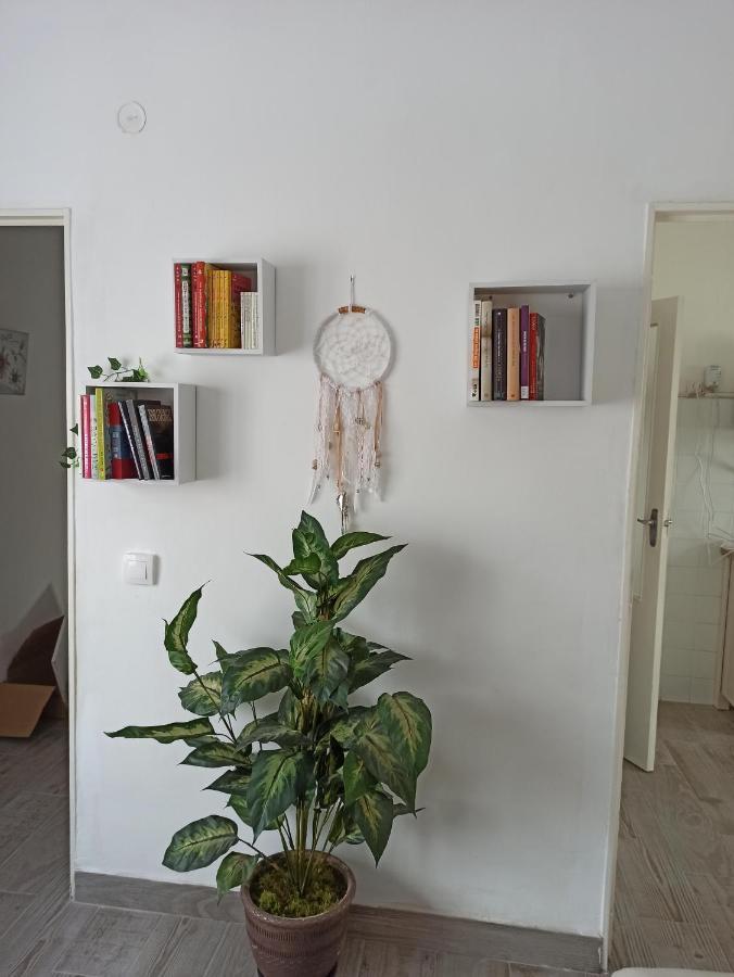 Apartamento Elizondo Giltxaurdi Kültér fotó